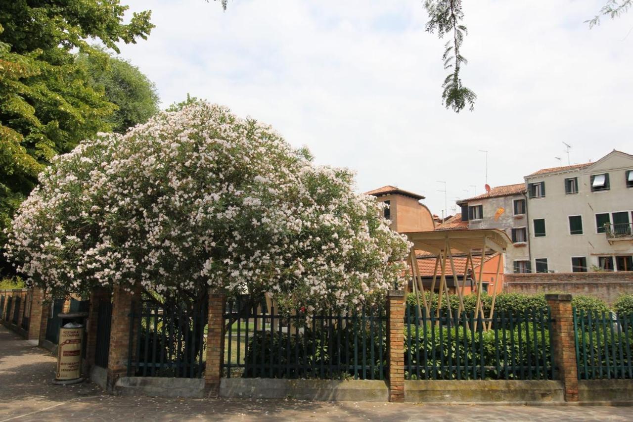 Veneziacentopercento Nicoli Apartment Exteriör bild